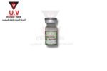 auto draft