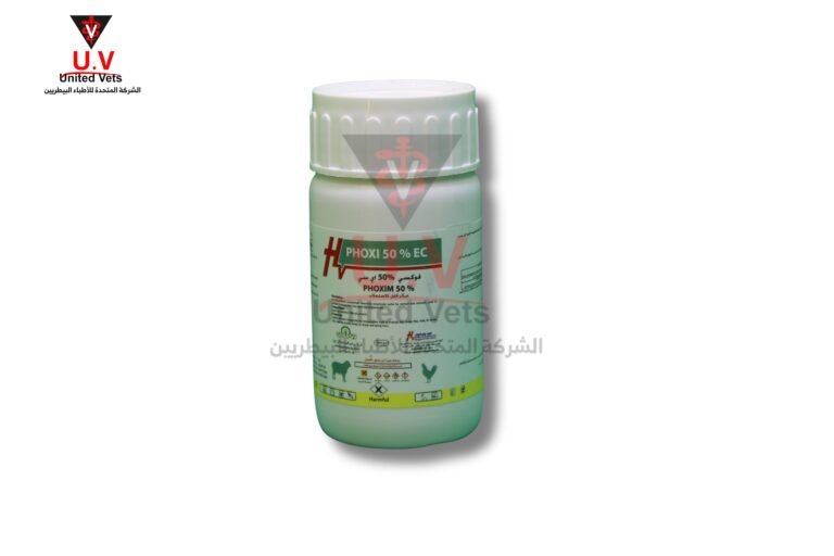 auto draft