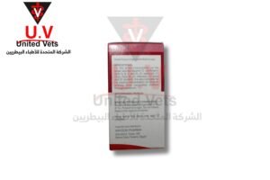 auto draft
