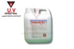 auto draft