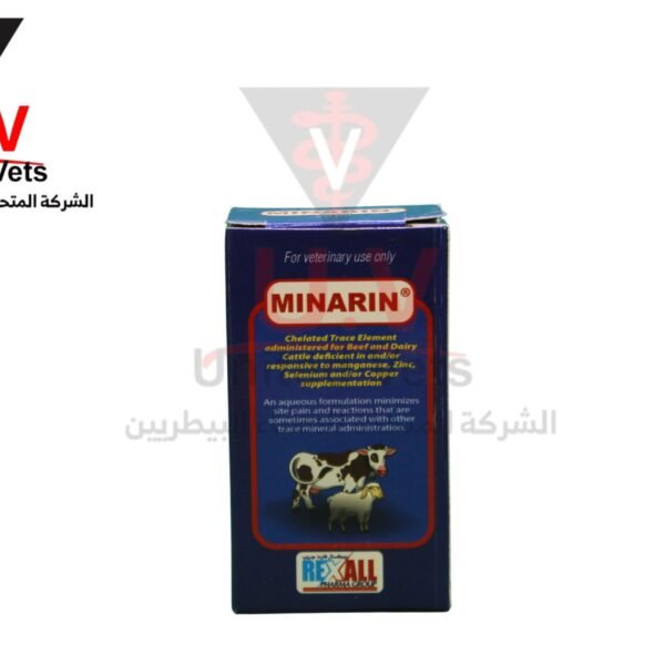 auto draft