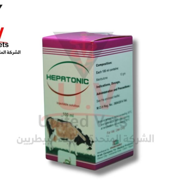 auto draft