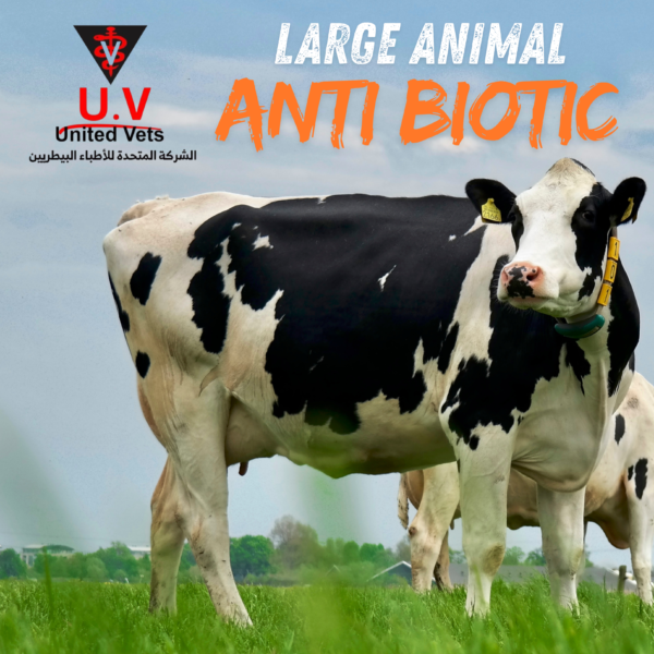 large animal antibiotic (3)
