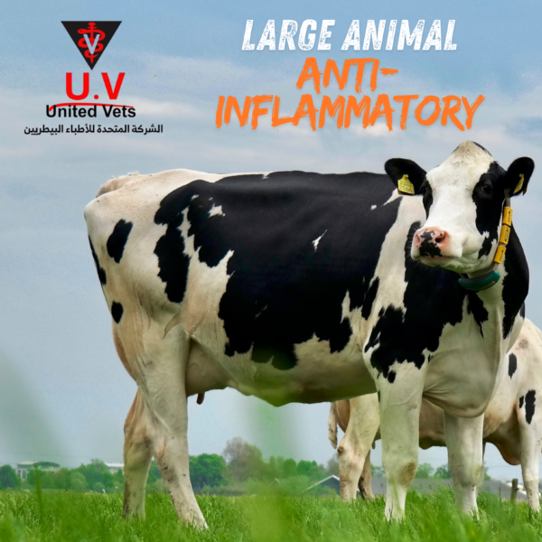 large animal antibiotic (4)