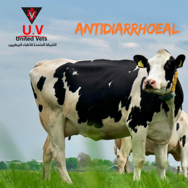 large animal antibiotic (5)