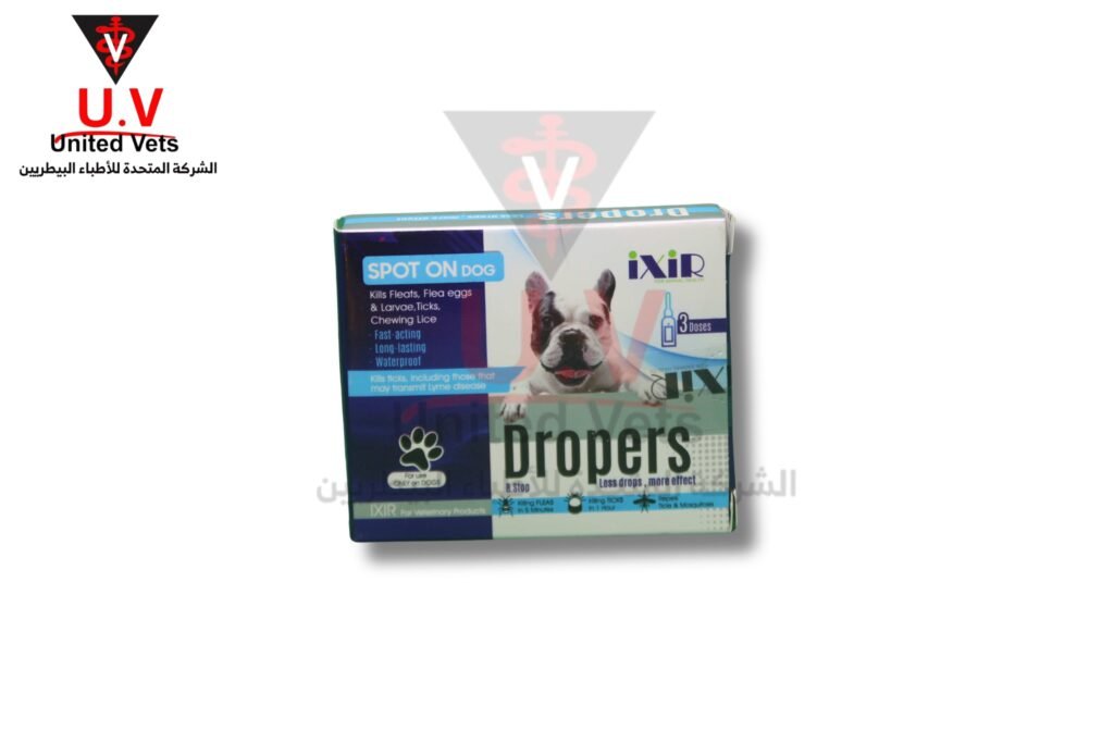 untitled design 2025 09 12t165751.212