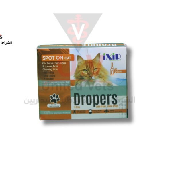 untitled design 2025 09 12t170441.931