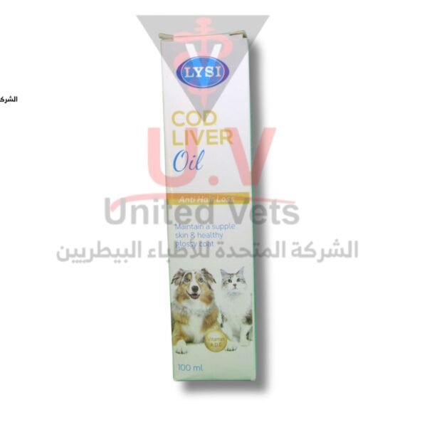 untitled design 2025 09 12t170738.738