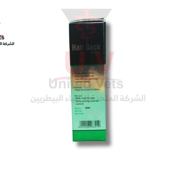 untitled design 2025 09 12t171000.199