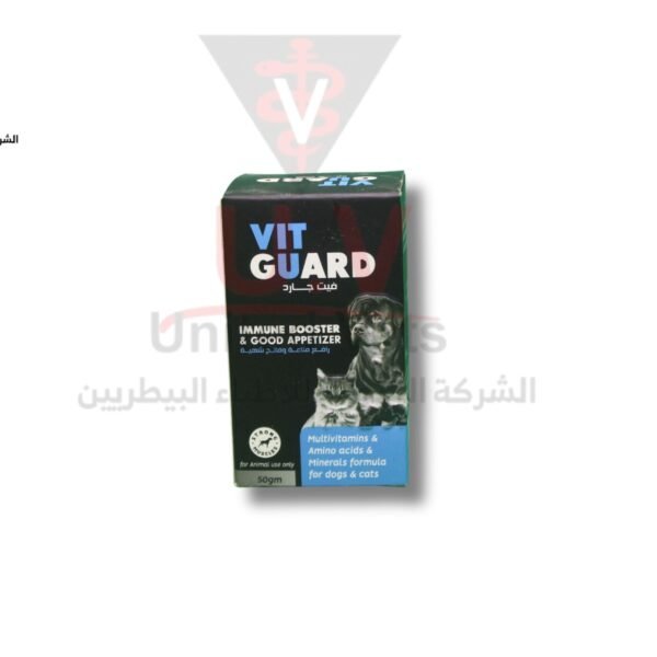 untitled design 2025 09 12t171314.479
