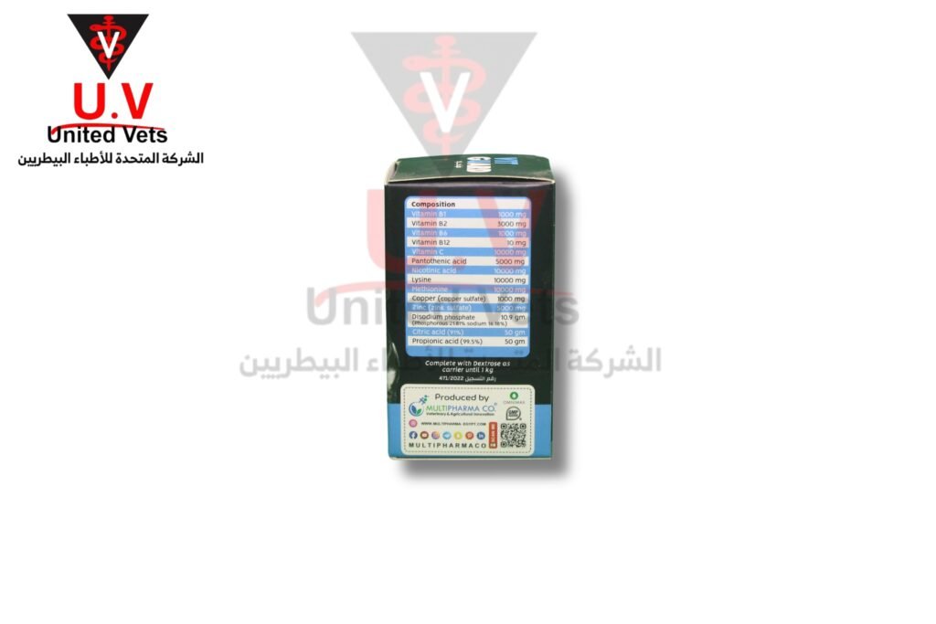 untitled design 2025 09 12t171333.988
