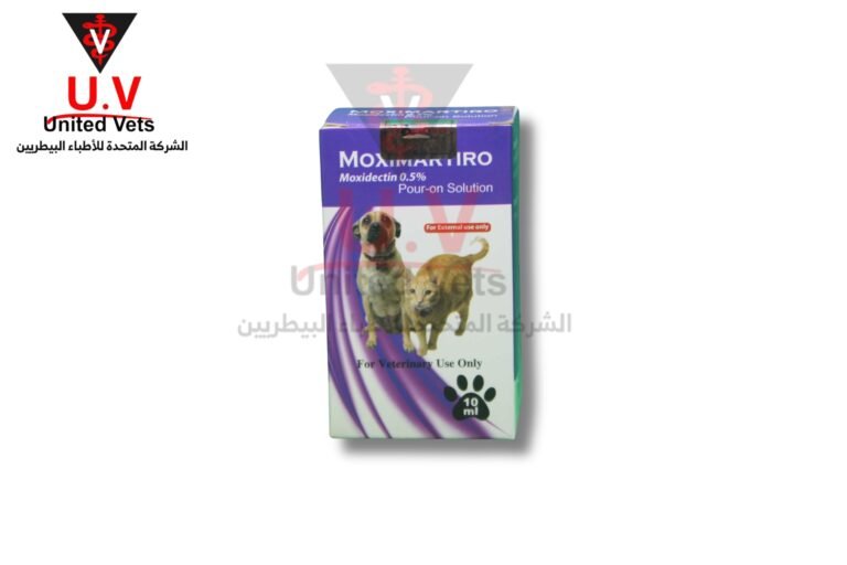 untitled design 2025 09 12t171912.752