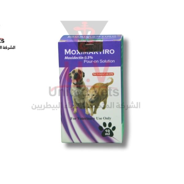 untitled design 2025 09 12t171912.752