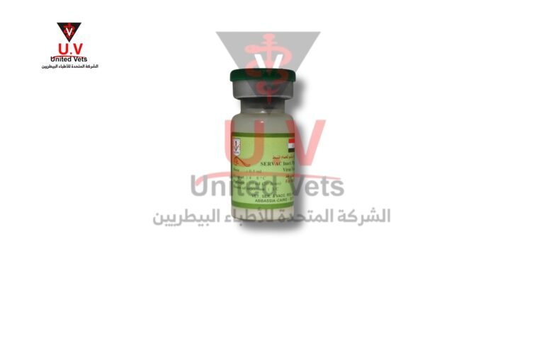 untitled design 2026 07 23t122339.596 copy