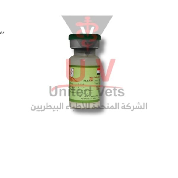 untitled design 2026 07 23t122339.596 copy