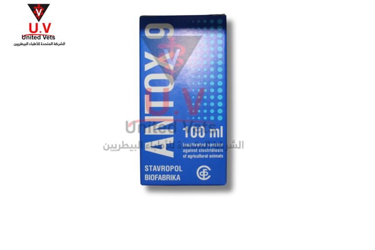 untitled design 2026 07 23t124658.640