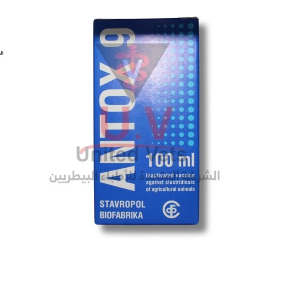 untitled design 2026 07 23t124658.640