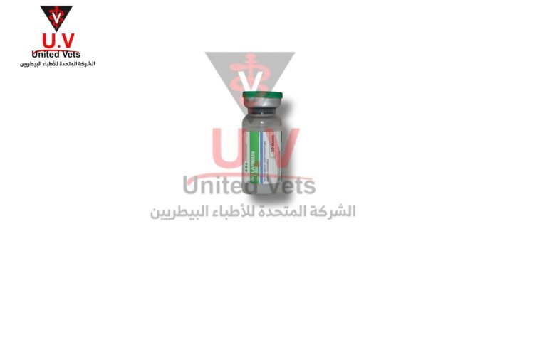 untitled design 2026 07 23t124705.628