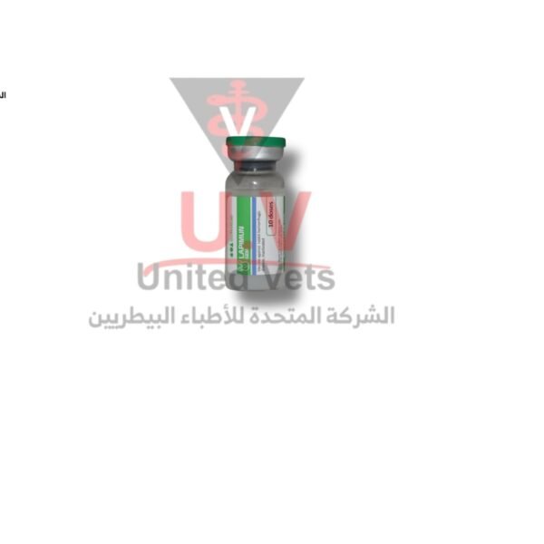 untitled design 2026 07 23t124705.628 copy