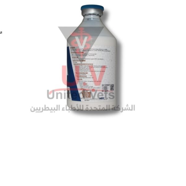 untitled design 2026 07 23t124717.664