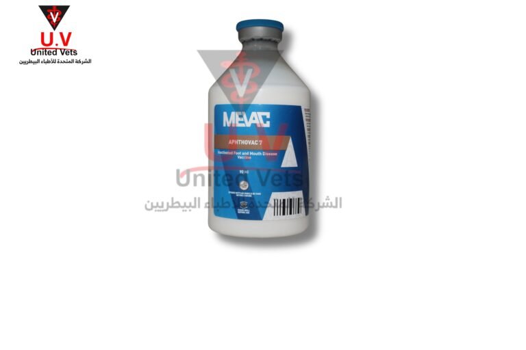 untitled design 2026 07 23t124723.631