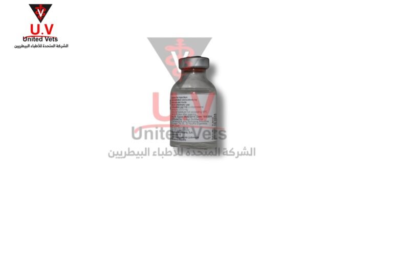 untitled design 2026 07 23t124729.738