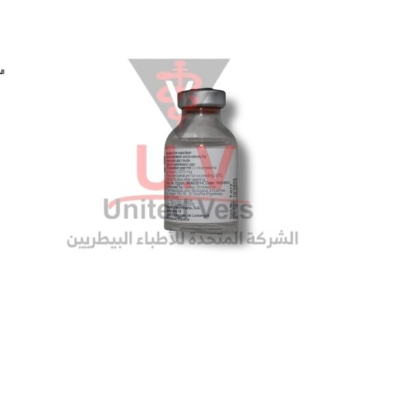 untitled design 2026 07 23t124729.738