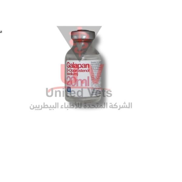 untitled design 2026 07 23t124736.592