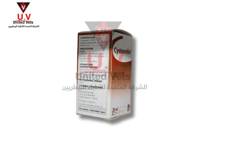 untitled design 2026 07 23t124743.696