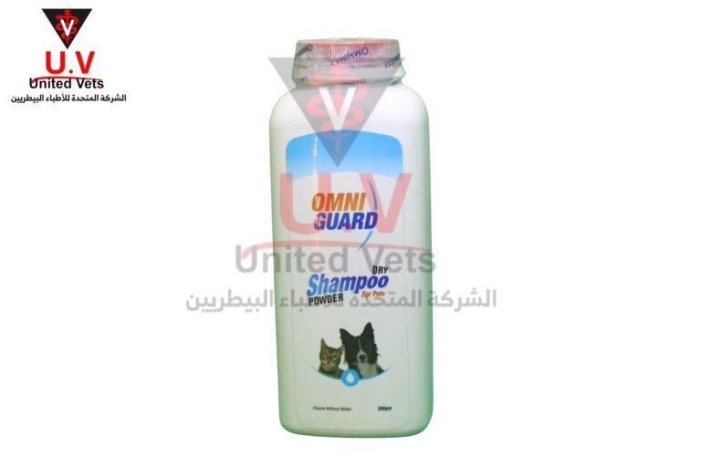 untitled design 2026 09 10t161835.645