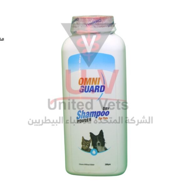 untitled design 2026 09 10t161835.645