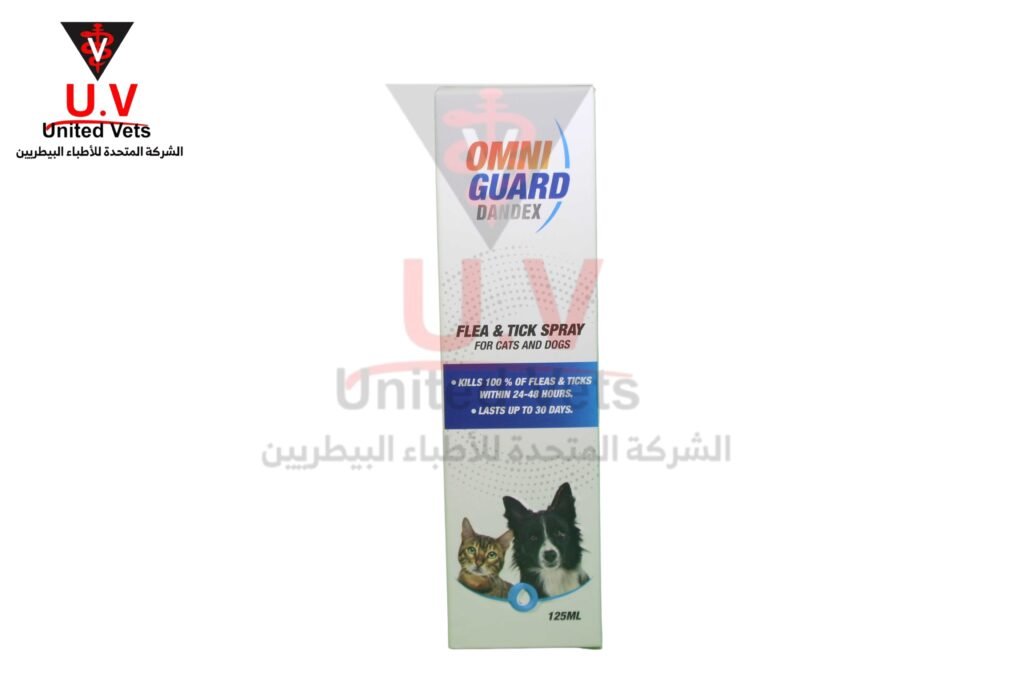untitled design 2026 09 10t162349.994