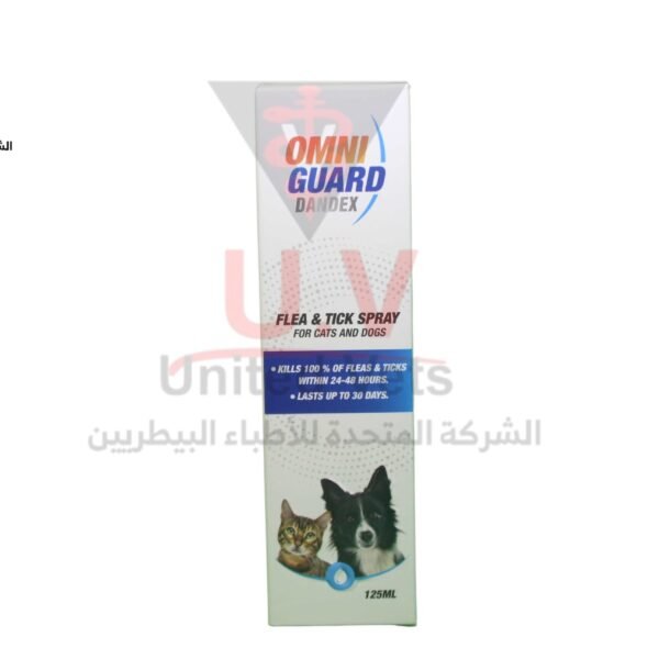 untitled design 2026 09 10t162349.994