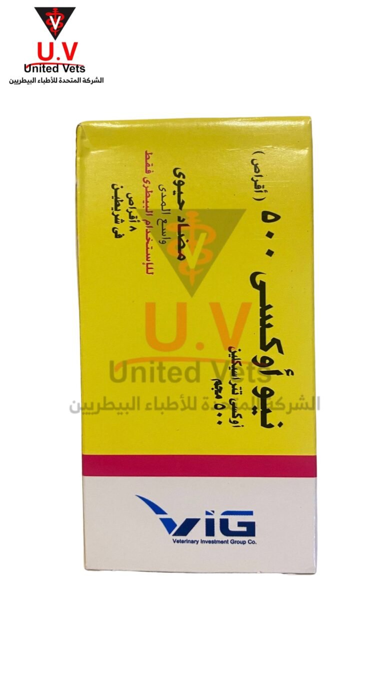 untitled design 2026 09 13t092008.707