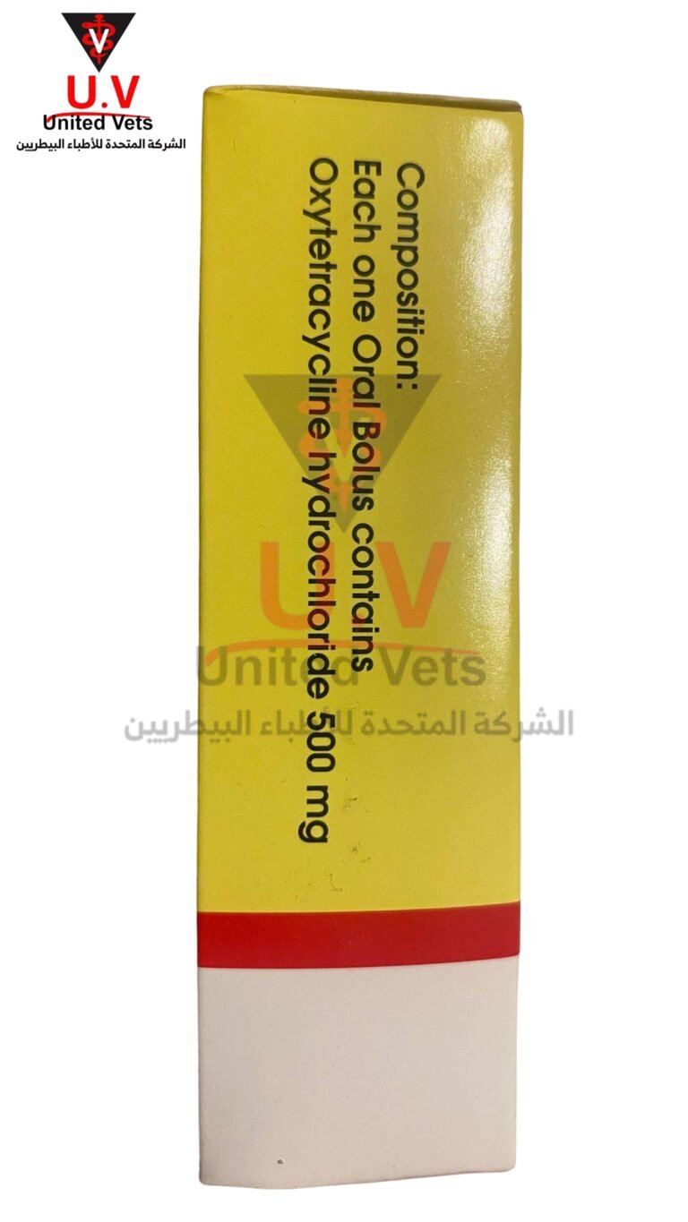untitled design 2026 09 13t092030.779