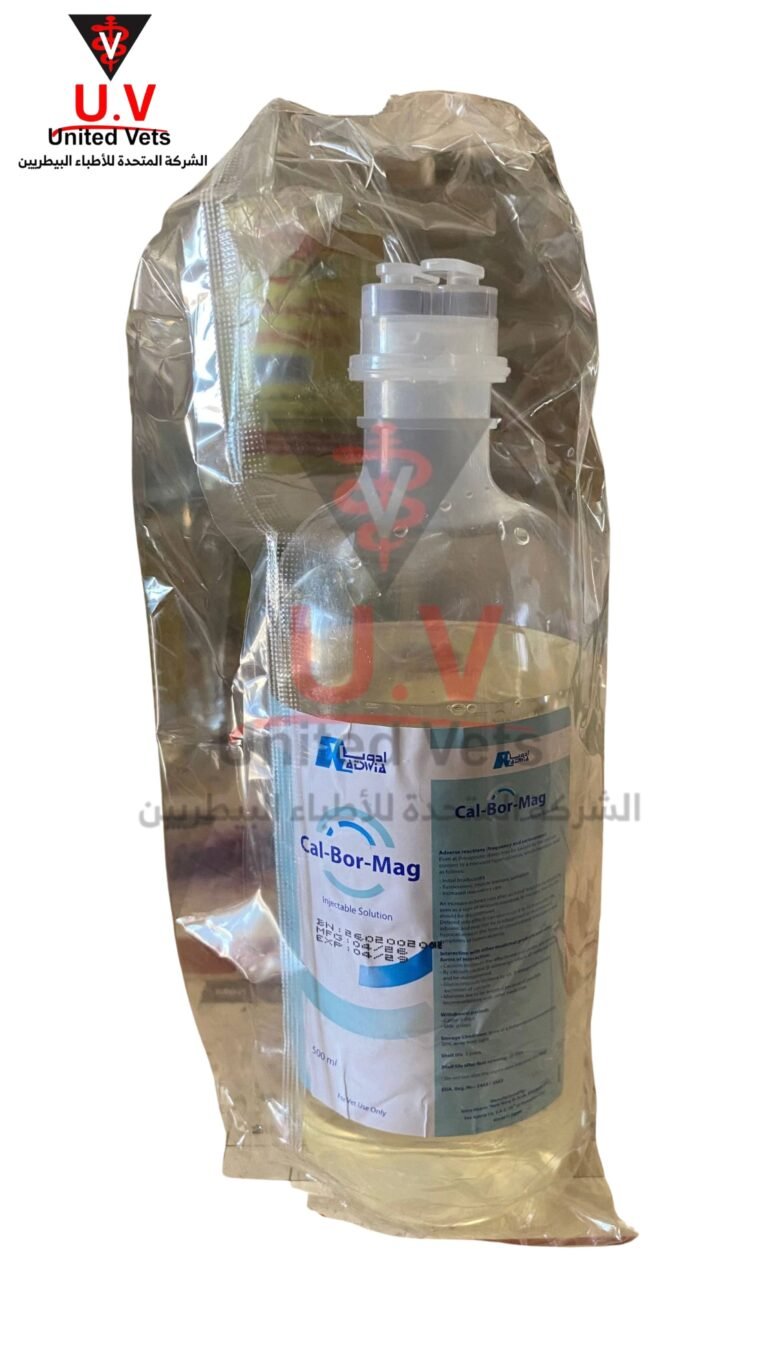 untitled design 2026 09 13t093520.855