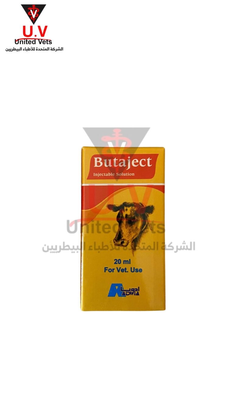 untitled design 2026 09 13t094048.682