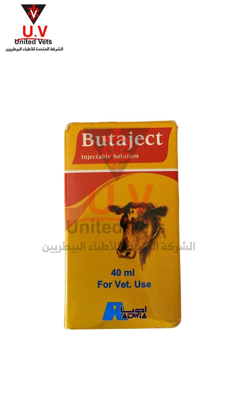 untitled design 2026 09 13t094113.838