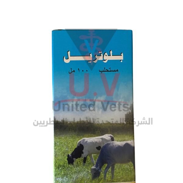 untitled design 2026 09 13t094131.716