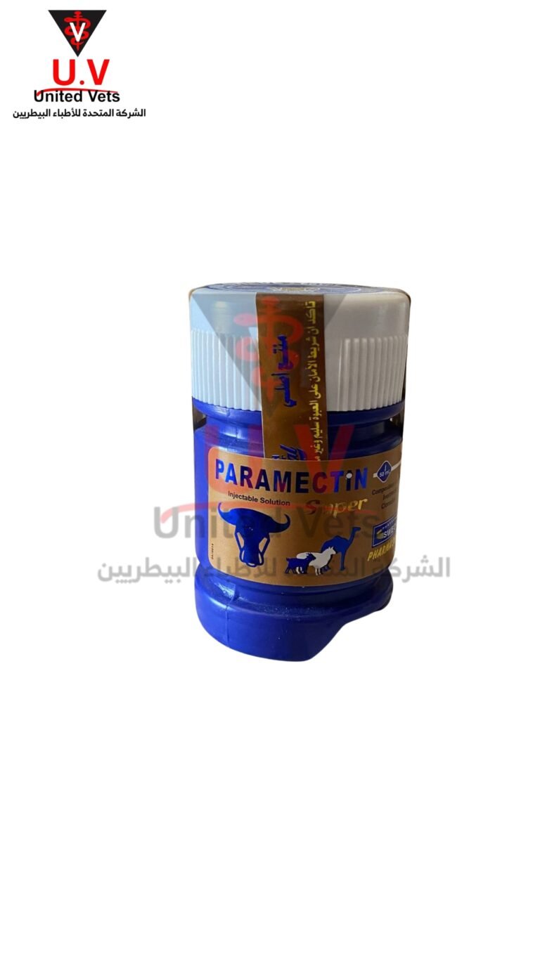 untitled design 2026 09 13t094652.651