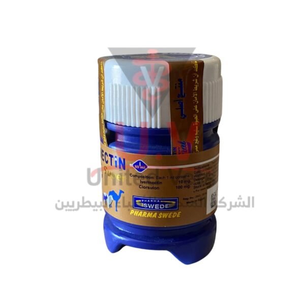 untitled design 2026 09 13t094657.616