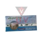 untitled design 2026 09 13t094731.501
