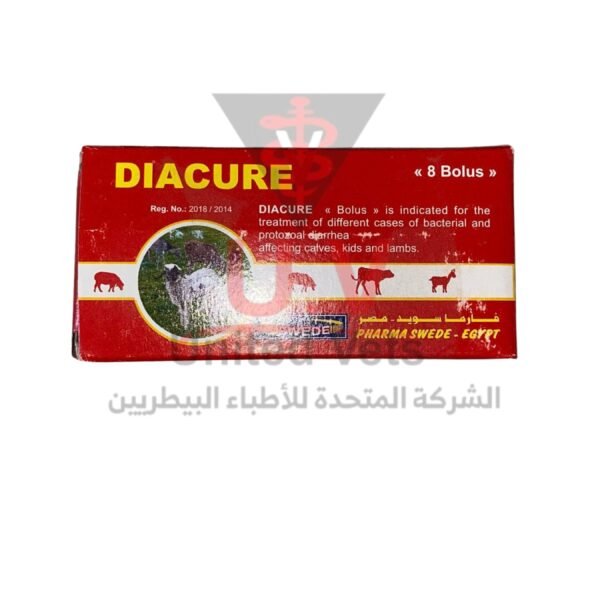 untitled design 2026 09 13t094748.658