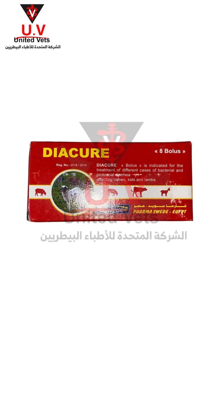 untitled design 2026 09 13t094748.658