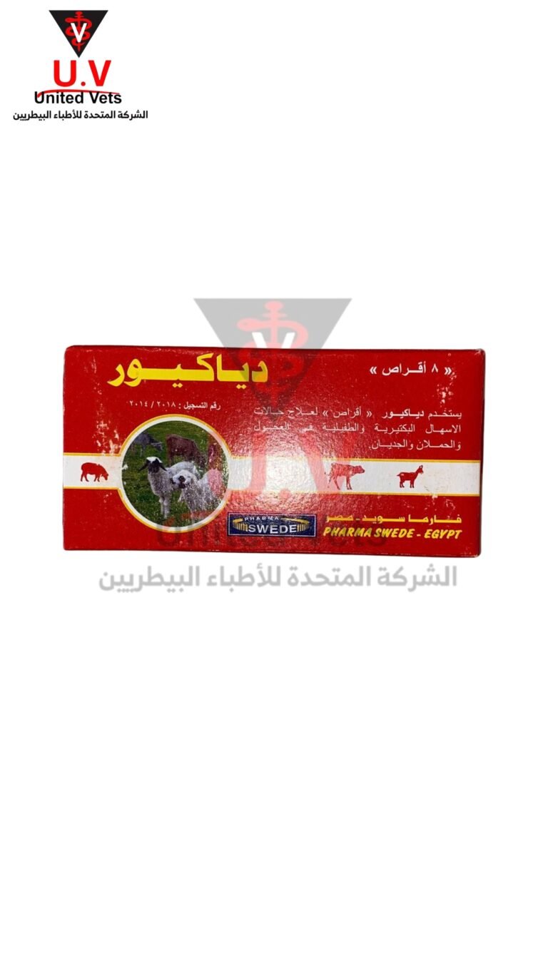 untitled design 2026 09 13t094807.767