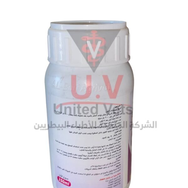 untitled design 2026 09 13t095316.639