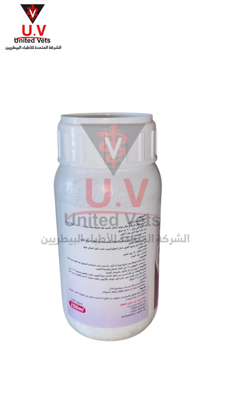 untitled design 2026 09 13t095316.639