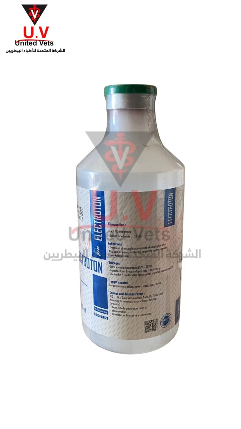 untitled design 2026 09 13t095919.584