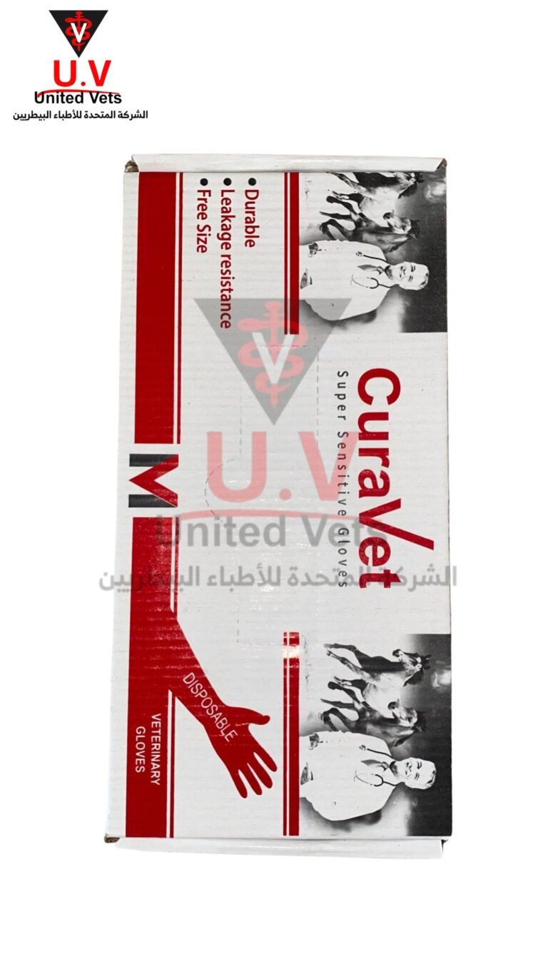 untitled design 2026 09 13t100509.593