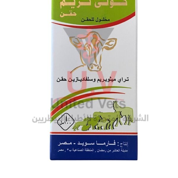 untitled design 2026 09 13t103737.393